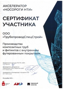 Сертификат участника акселератора "Носороги НТИ"